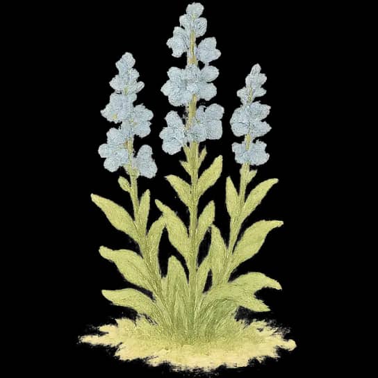 Perennials