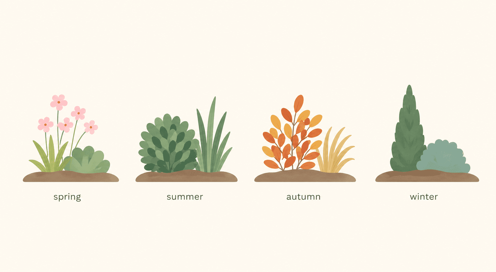 A simple way to see your garden across the year—spring blooms, summer fullness, autumn color, and winter structure, all working together