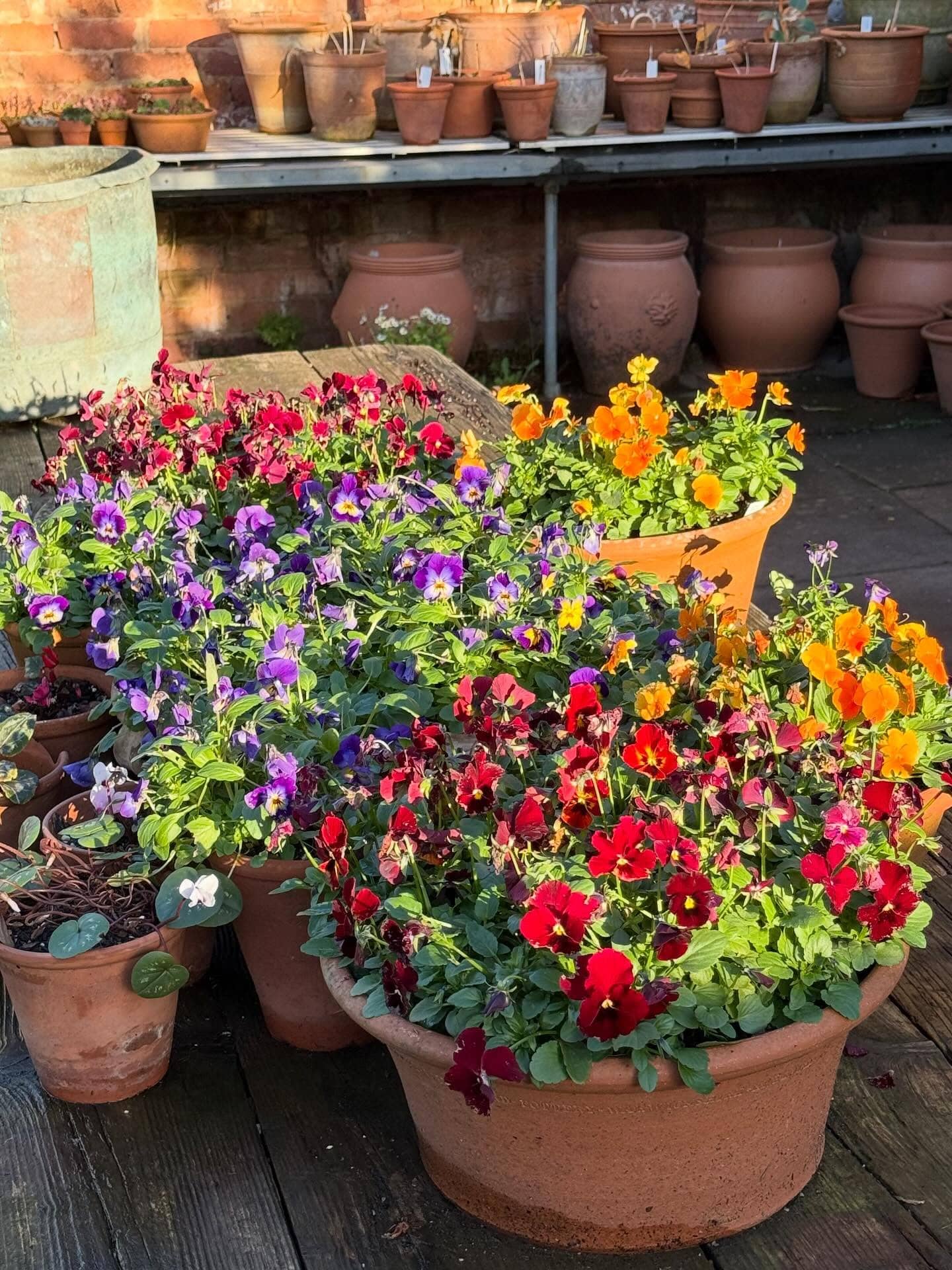 Monty Don > Image 4