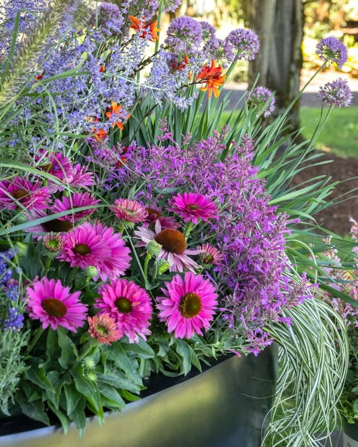 My Garden Nursery Image 2