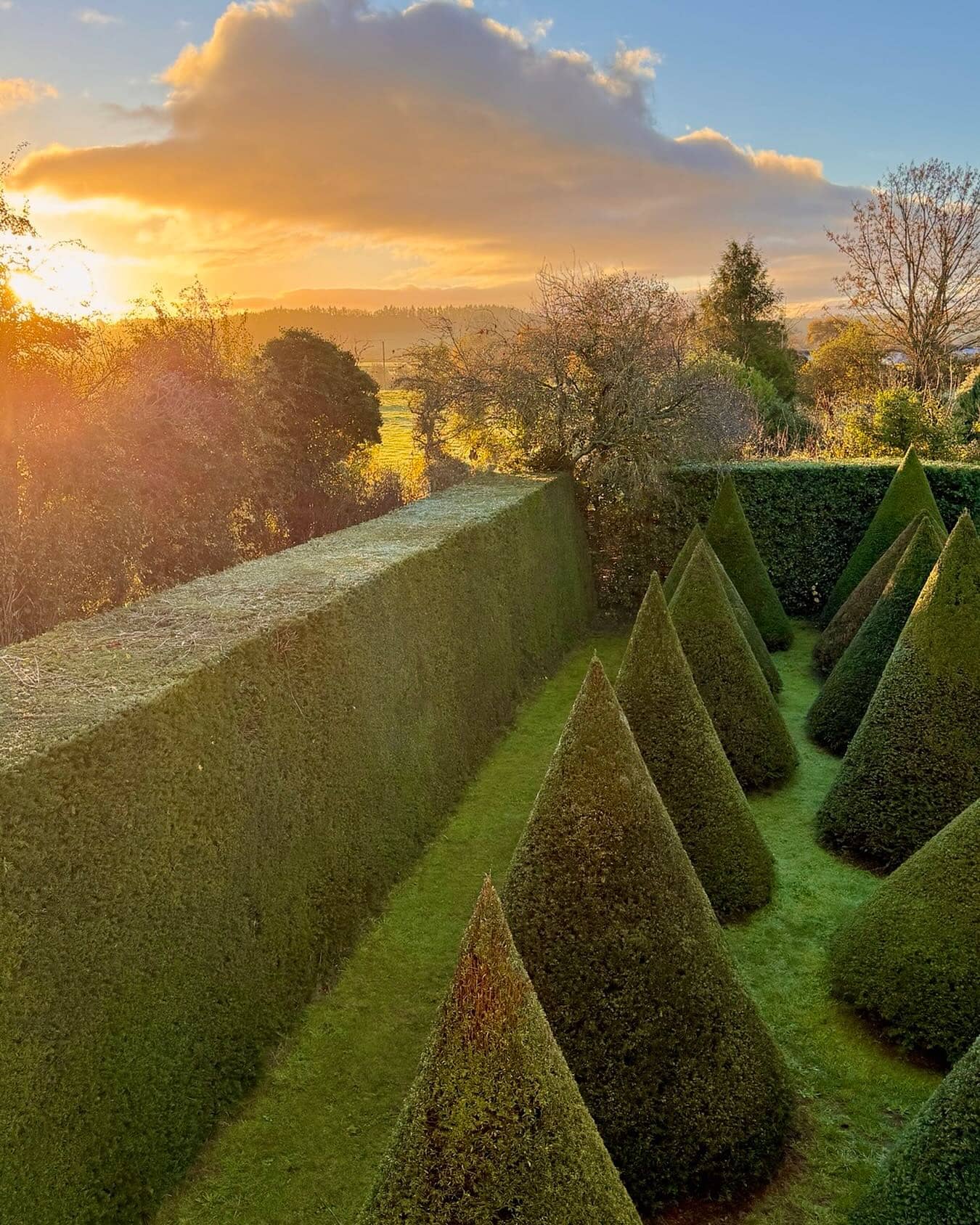 Monty Don > Image 3