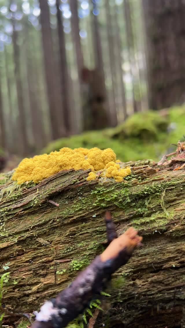 Northwest Natura > Image 2