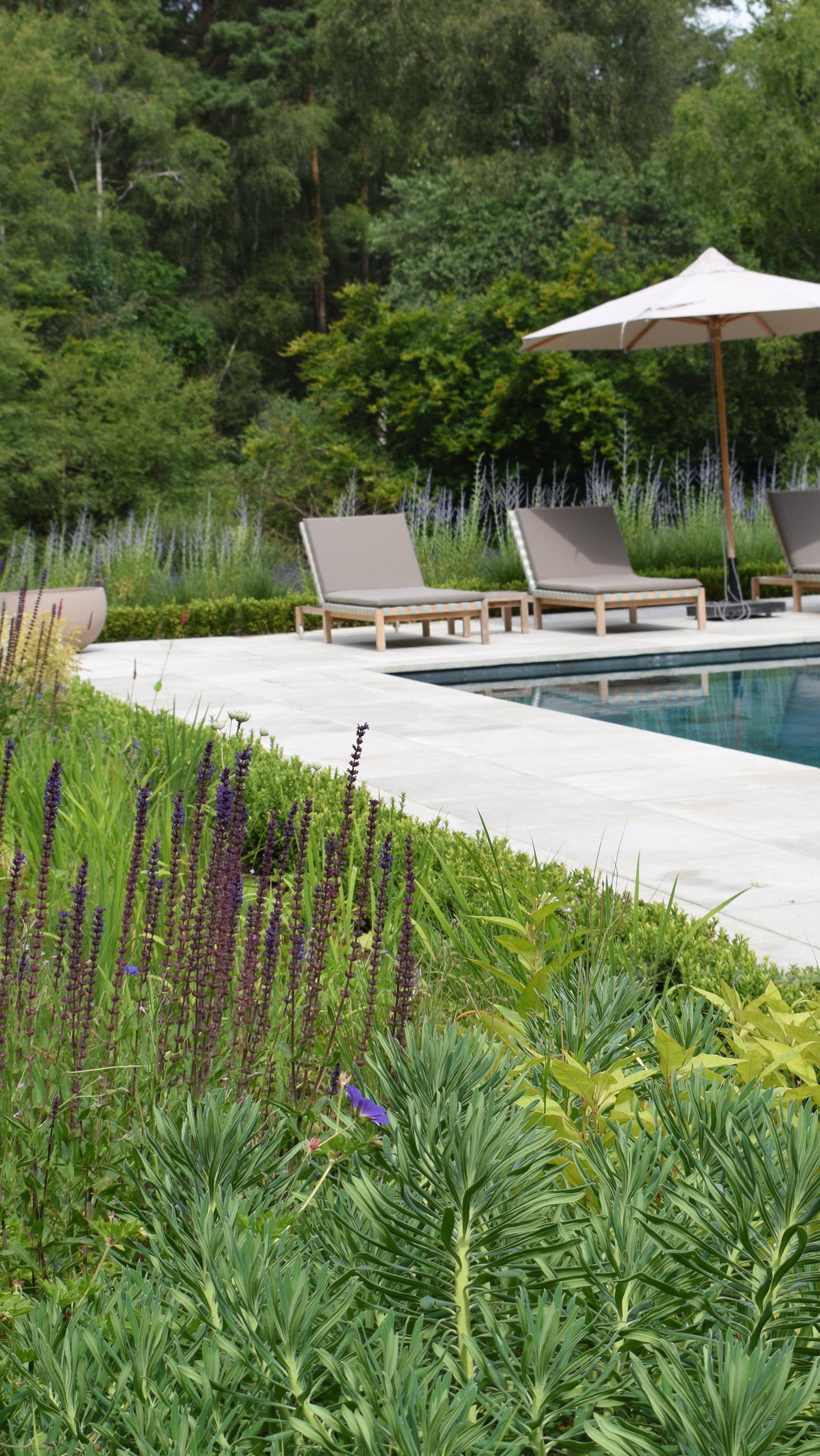 Pollyanna Wilkinson Image 1