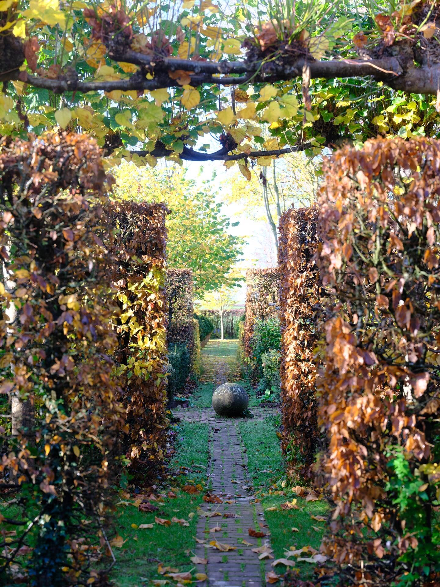 Monty Don > Image 2