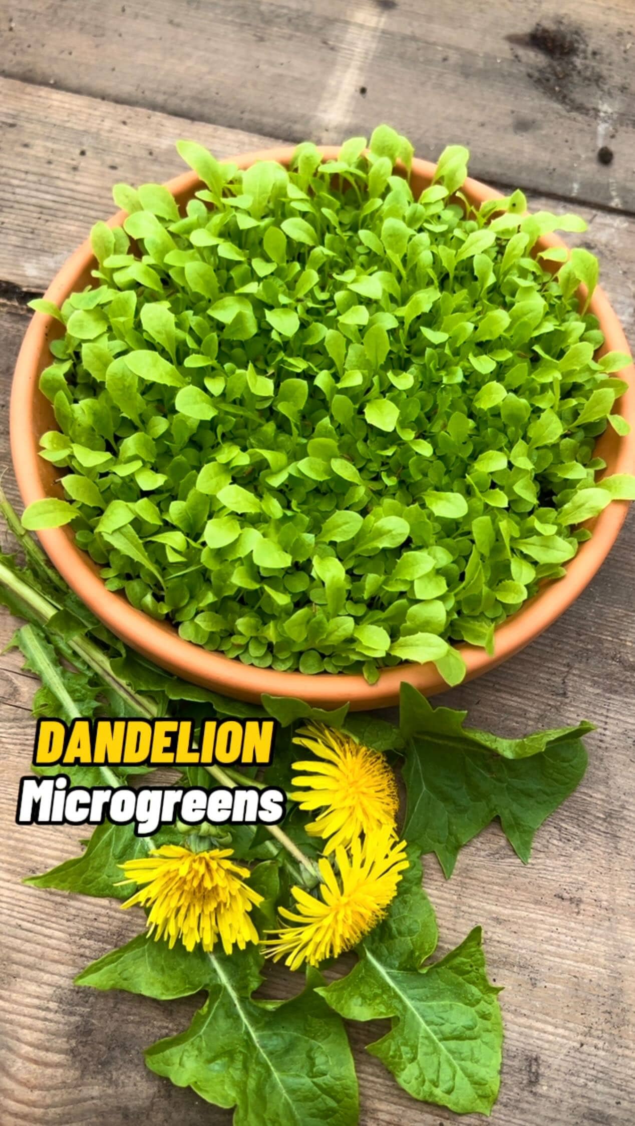 Jamie Walton Image 3